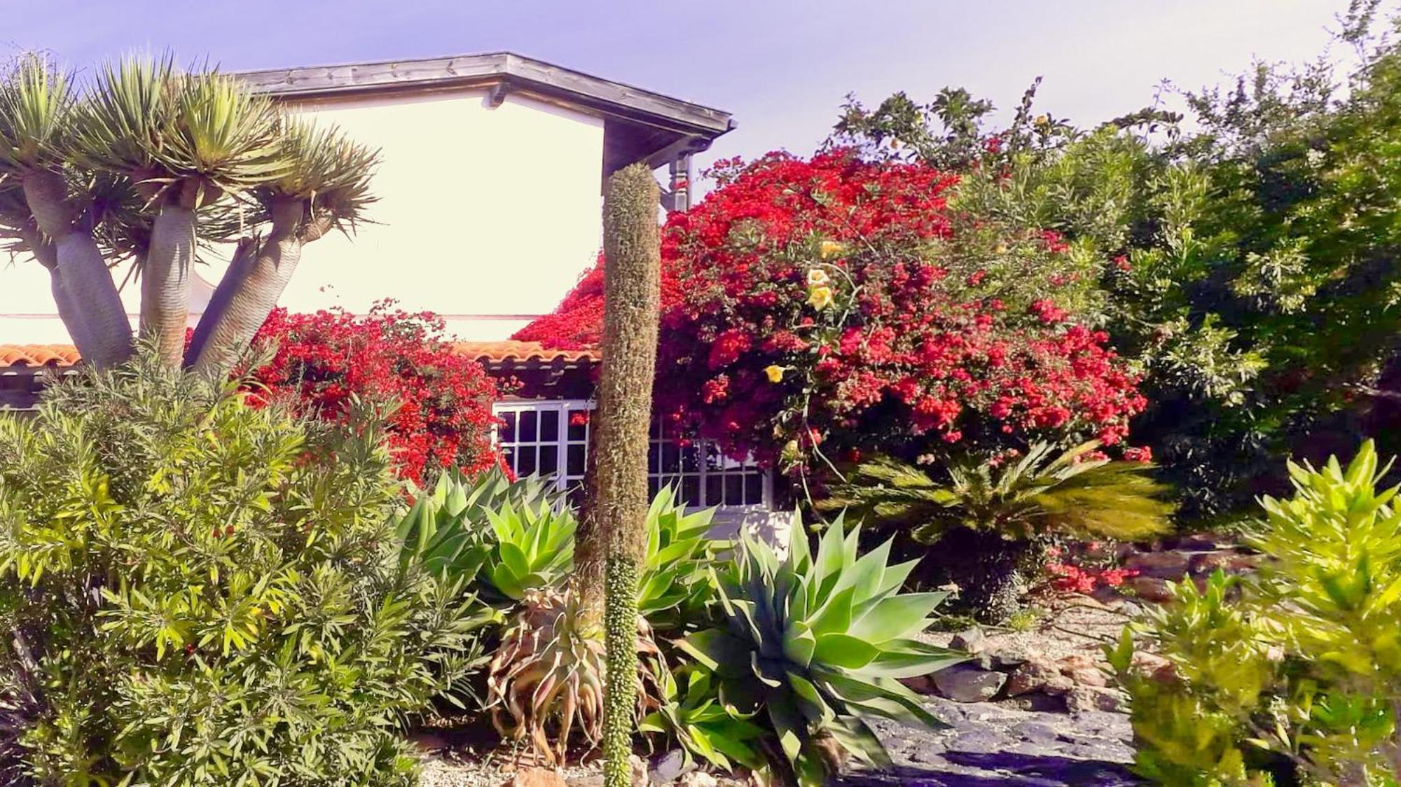 فيلا -Casa Azul-Arico Viejo La Sabinita - Baden, Wandern, Klettern, Individualurlaub Jenseits Des Massentourismus, المظهر الخارجي الصورة
