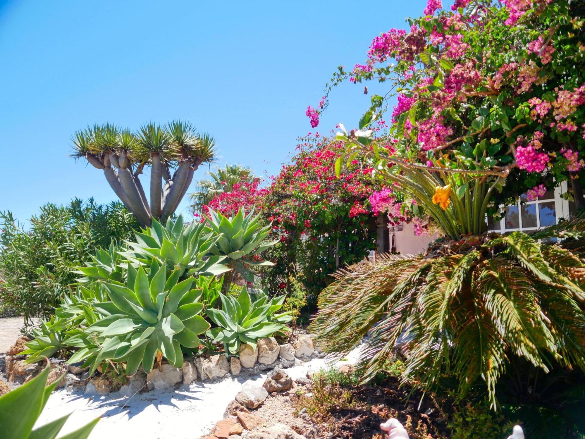 فيلا -Casa Azul-Arico Viejo La Sabinita - Baden, Wandern, Klettern, Individualurlaub Jenseits Des Massentourismus, المظهر الخارجي الصورة